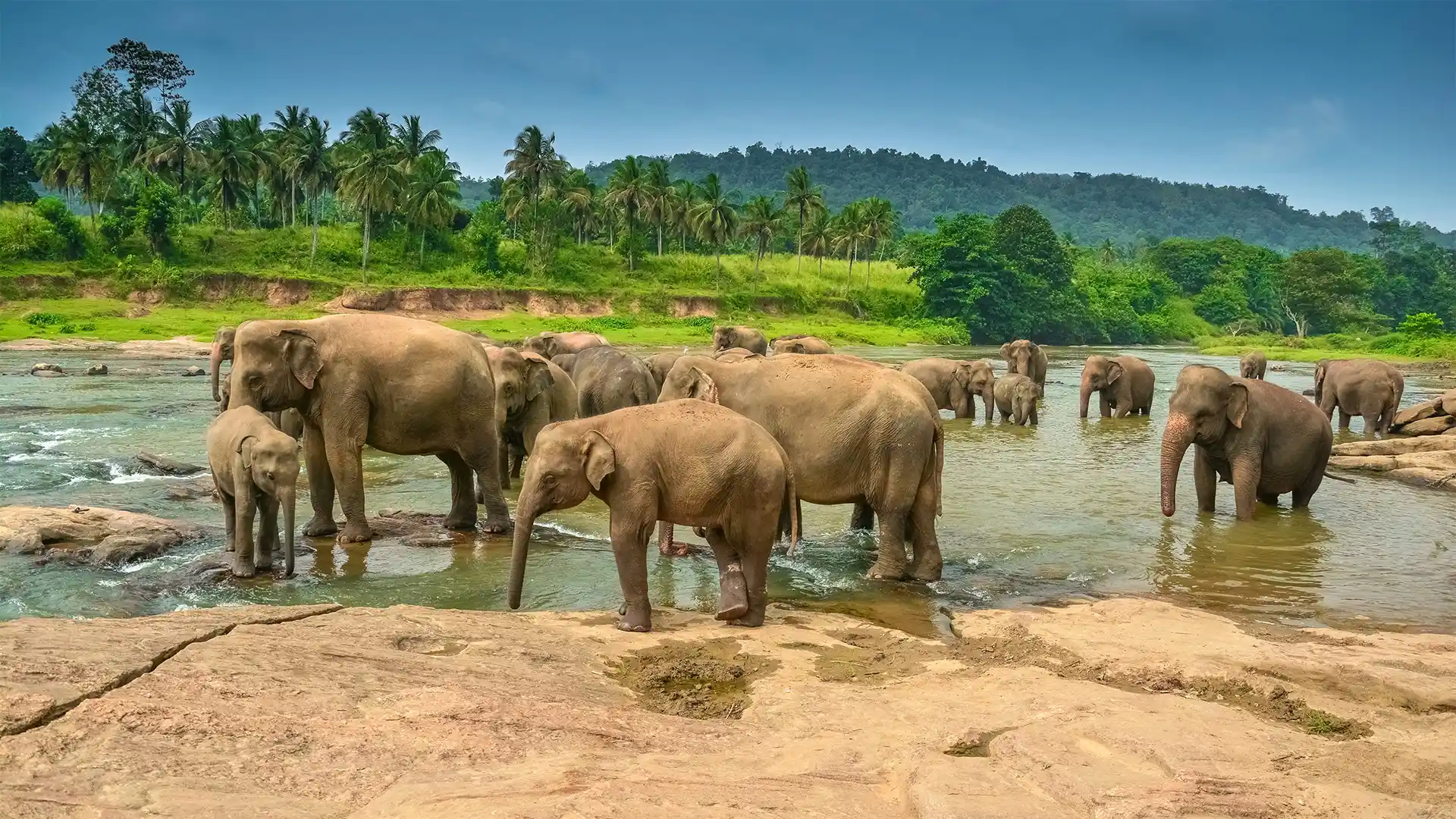 Colombo, Srilanka