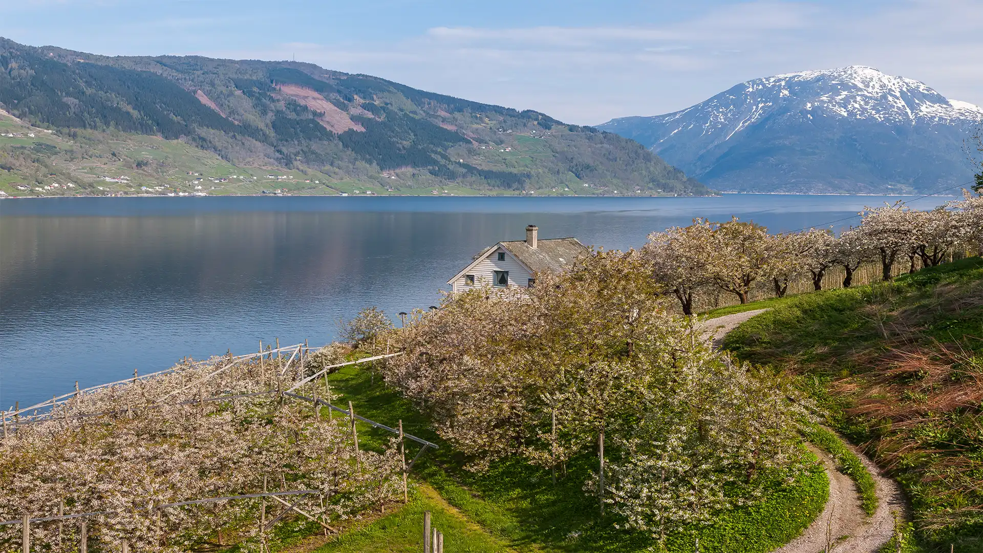 Ybbs An Der Donau, Autriche