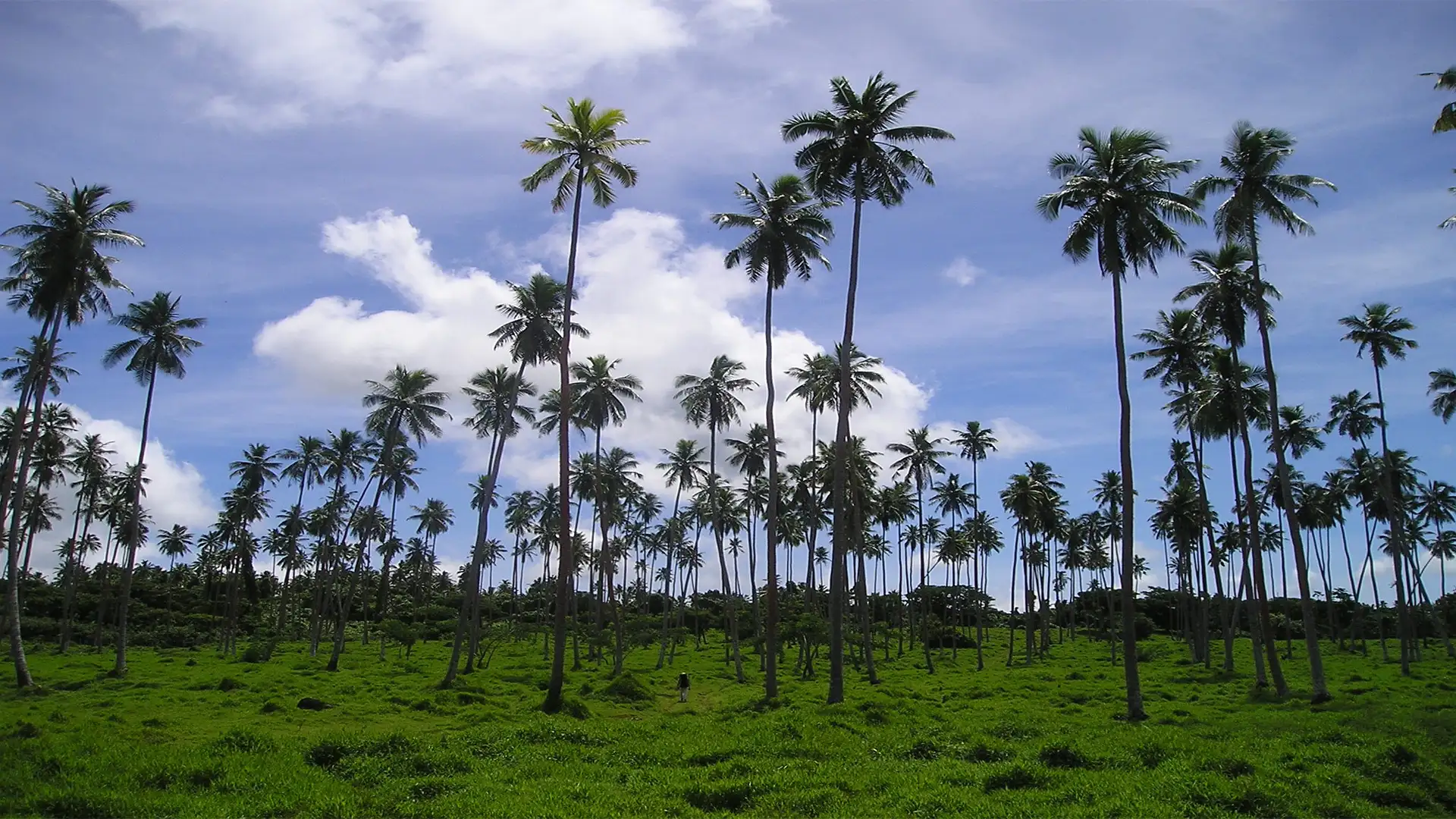 Apia, Samoa